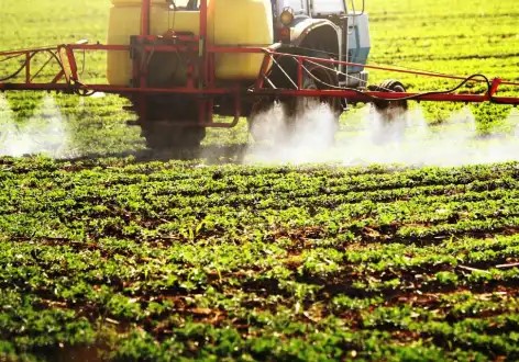 Ús indiscriminat d'agroquímics